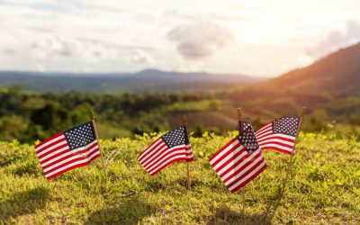 The Force of Woke Ideology: America’s New Friend or New Foe?